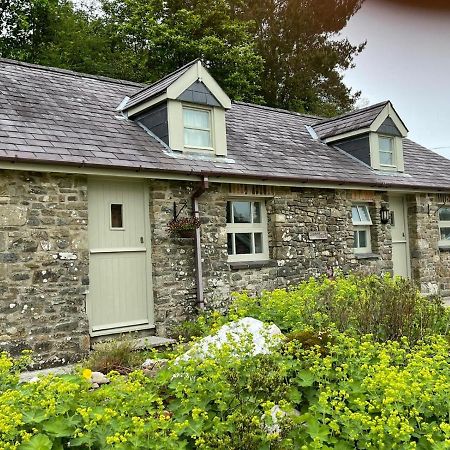 Villa Crug Yr Eryr Isaf Llandysul Exterior foto