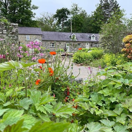 Villa Crug Yr Eryr Isaf Llandysul Exterior foto