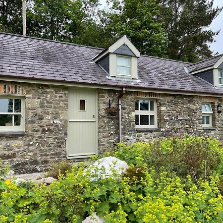 Villa Crug Yr Eryr Isaf Llandysul Exterior foto