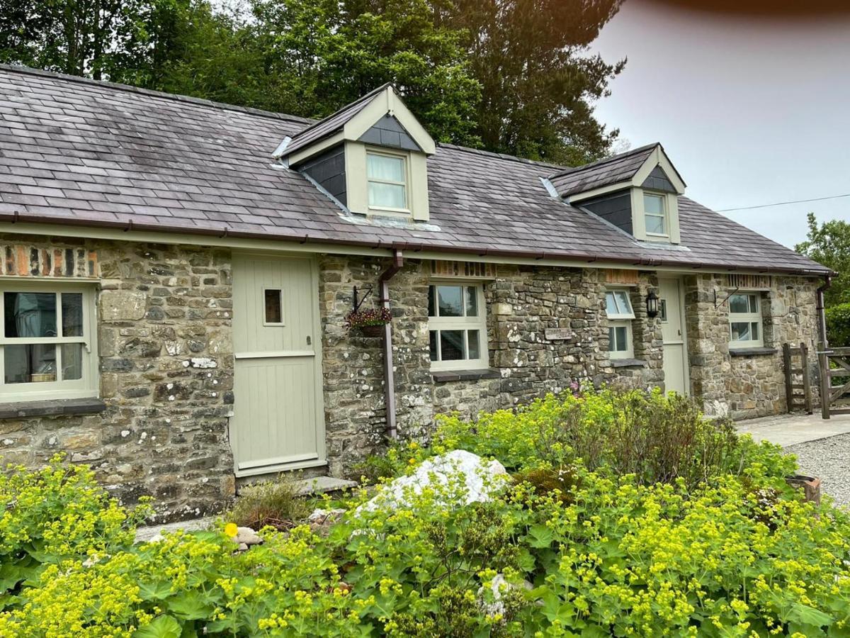 Villa Crug Yr Eryr Isaf Llandysul Exterior foto