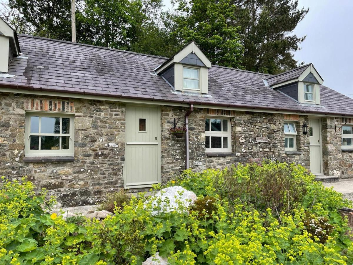Villa Crug Yr Eryr Isaf Llandysul Exterior foto