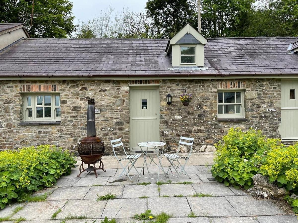 Villa Crug Yr Eryr Isaf Llandysul Exterior foto